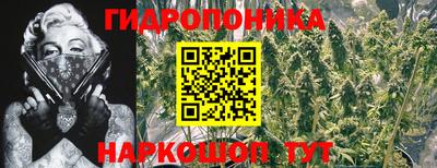 гидра Берёзовский