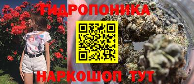 apvp Беслан