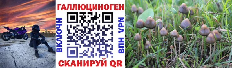 OMG ONION  Кудымкар  Галлюциногенные грибы Psilocybine cubensis 