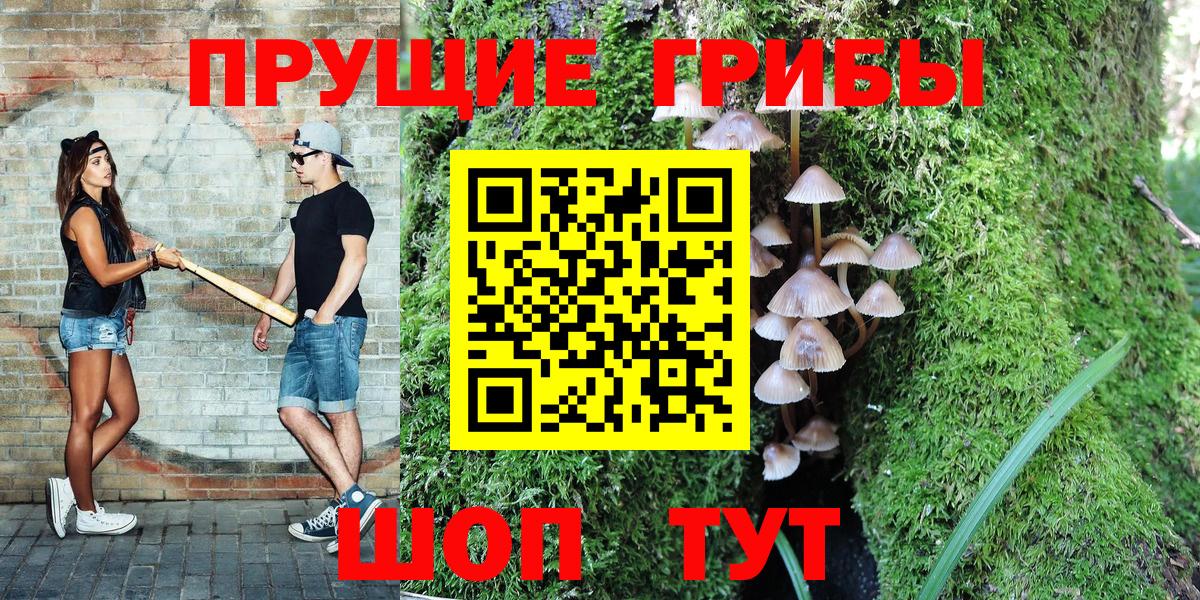 Псилоцибиновые грибы GOLDEN TEACHER Кудымкар
